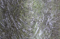 Bromley Common fibreglass roof work