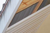 rated Bromley Common soffit repair companies